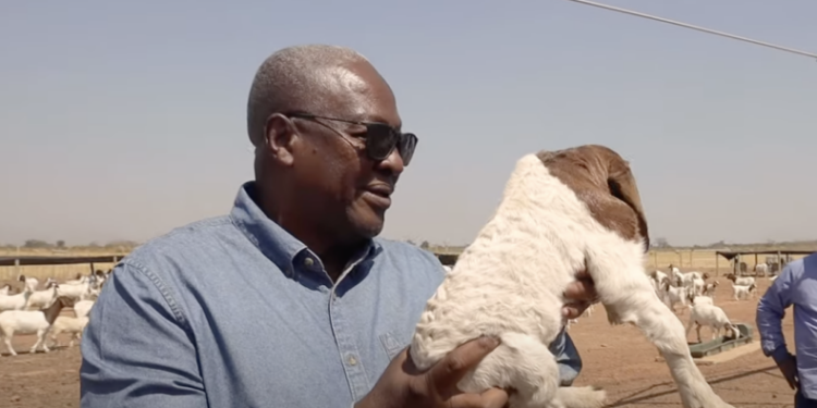 Farming is my life, and it’s my retirement plan – President-elect Mahama